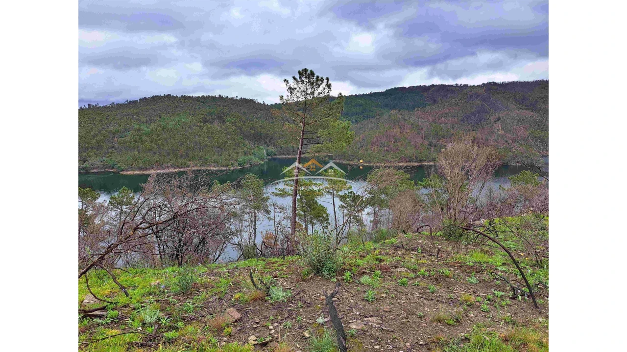 Terreno Agricola ou Rústico para Venda em Olalhas Foto 7