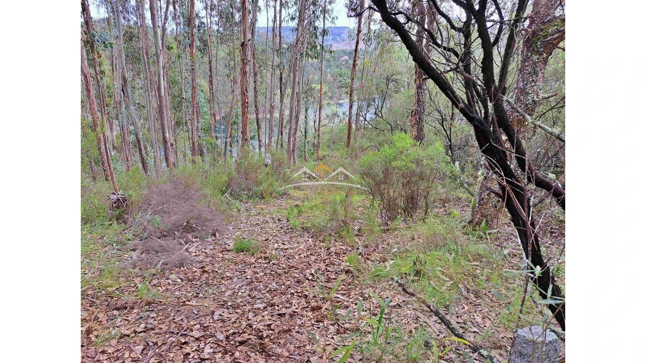 Terreno Agricola ou Rústico para Venda em Olalhas Foto 13