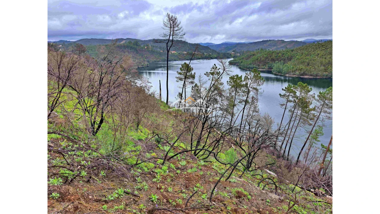 Terreno Agricola ou Rústico para Venda em Olalhas Foto 1