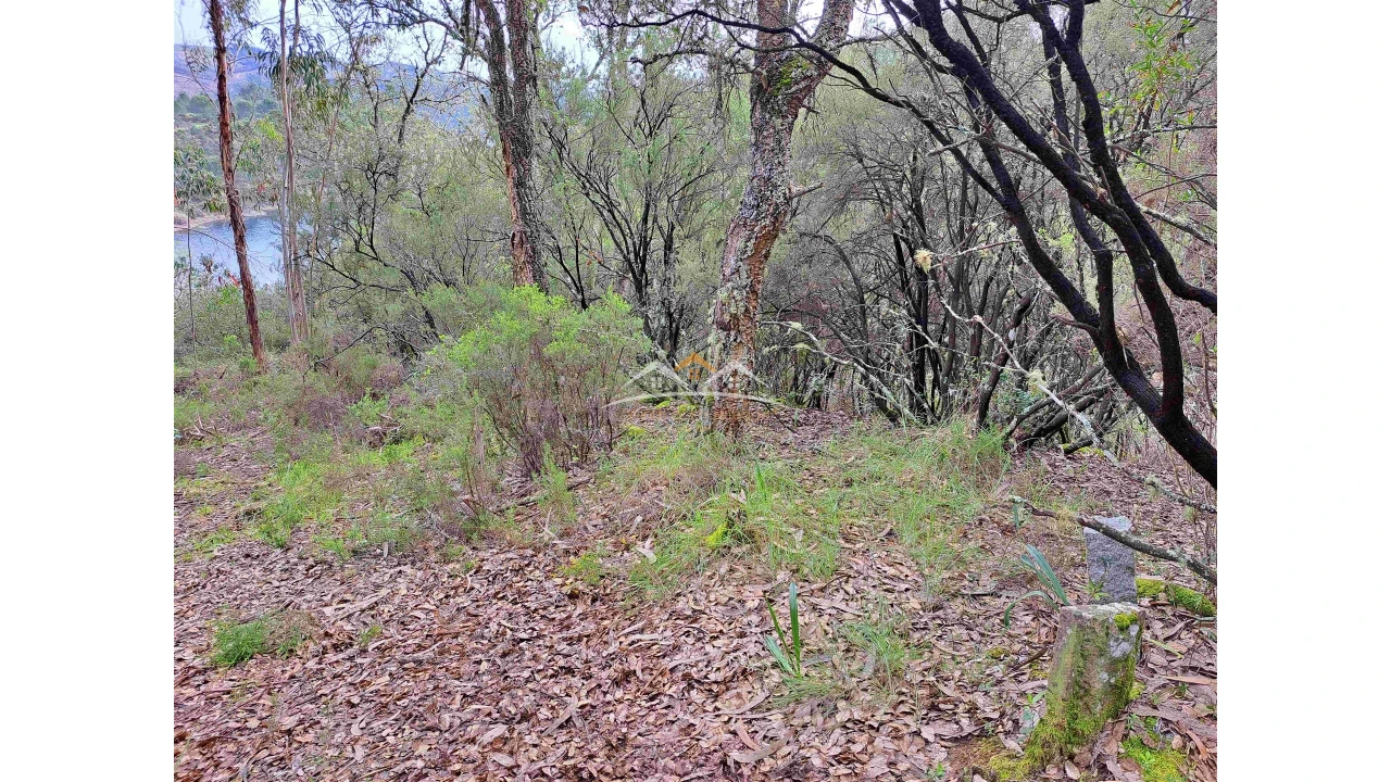 Terreno Agricola ou Rústico para Venda em Olalhas Foto 11