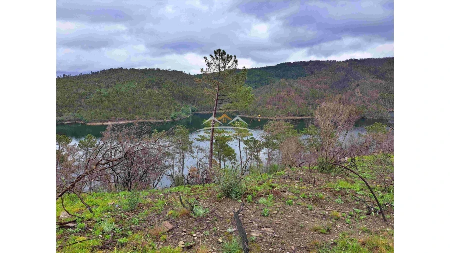 Terreno Agricola ou Rústico para Venda em Olalhas Foto 7
