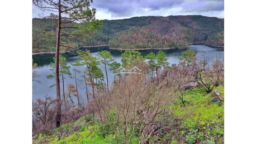 Terreno Agricola ou Rústico para Venda em Olalhas Foto 4