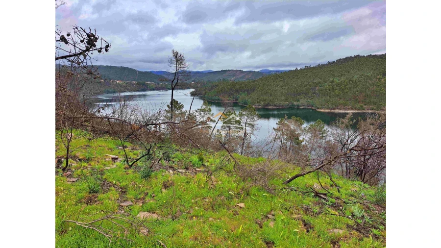 Terreno Agricola ou Rústico para Venda em Olalhas Foto 6