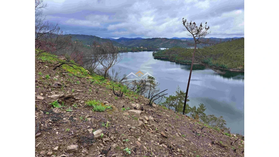 Terreno Agricola ou Rústico para Venda em Olalhas Foto 9