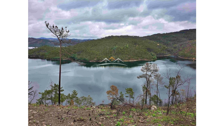 Terreno Agricola ou Rústico para Venda em Olalhas Foto 2