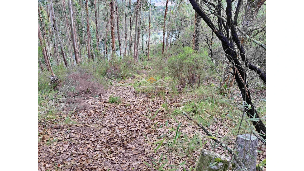 Terreno Agricola ou Rústico para Venda em Olalhas Foto 12