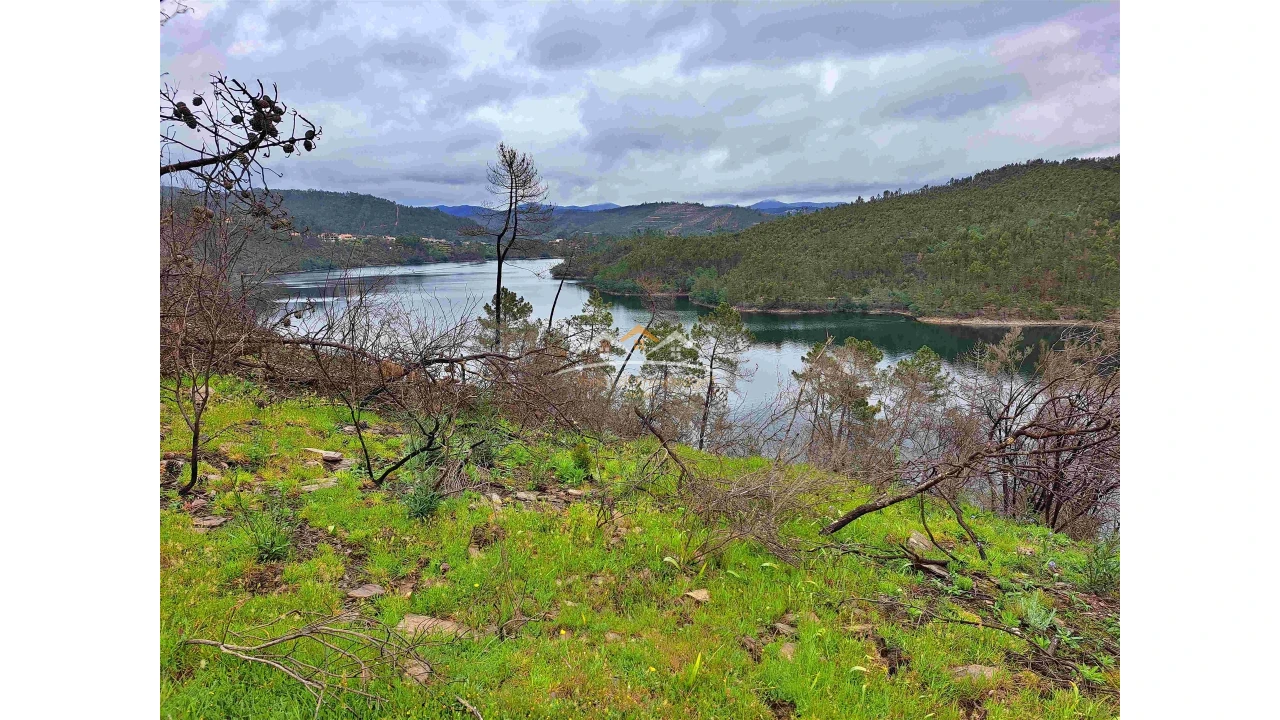 Terreno Agricola ou Rústico para Venda em Olalhas Foto 6