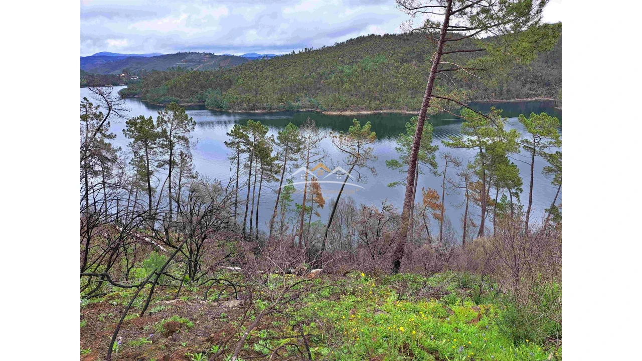 Terreno Agricola ou Rústico para Venda em Olalhas Foto 3