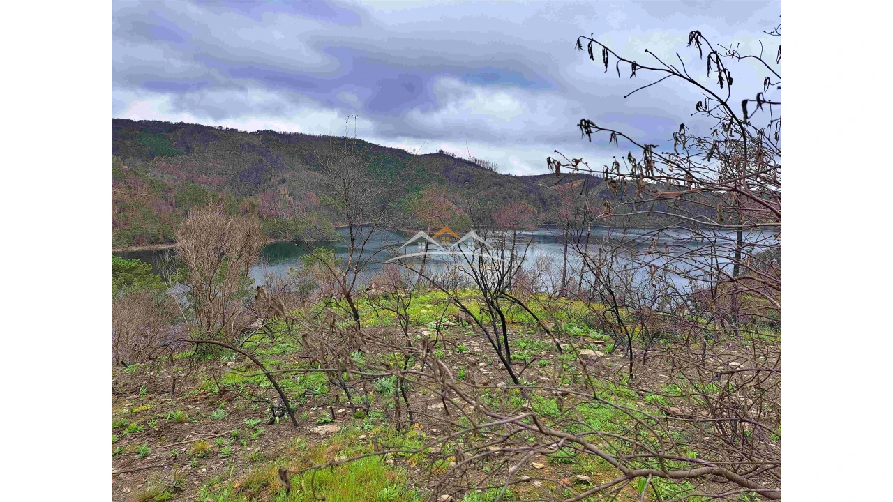 Terreno Agricola ou Rústico para Venda em Olalhas Foto 8