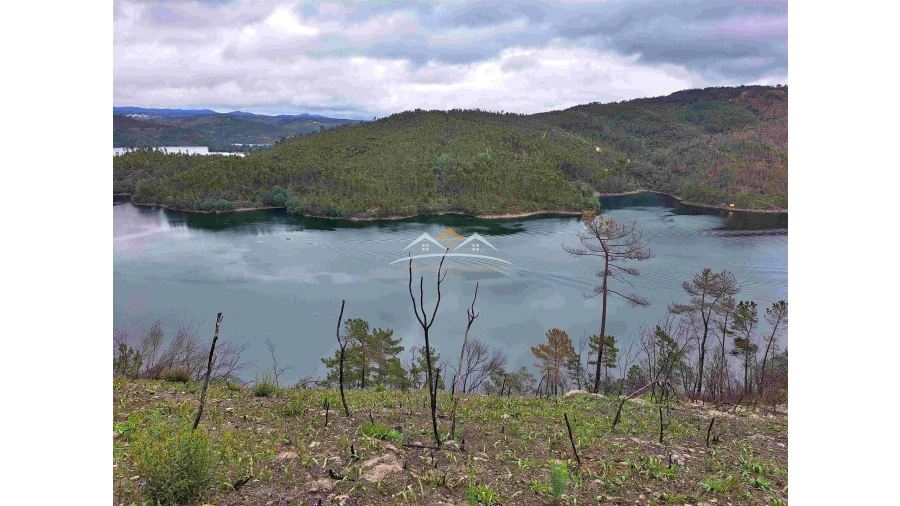 Terreno Agricola ou Rústico para Venda em Olalhas Foto 4