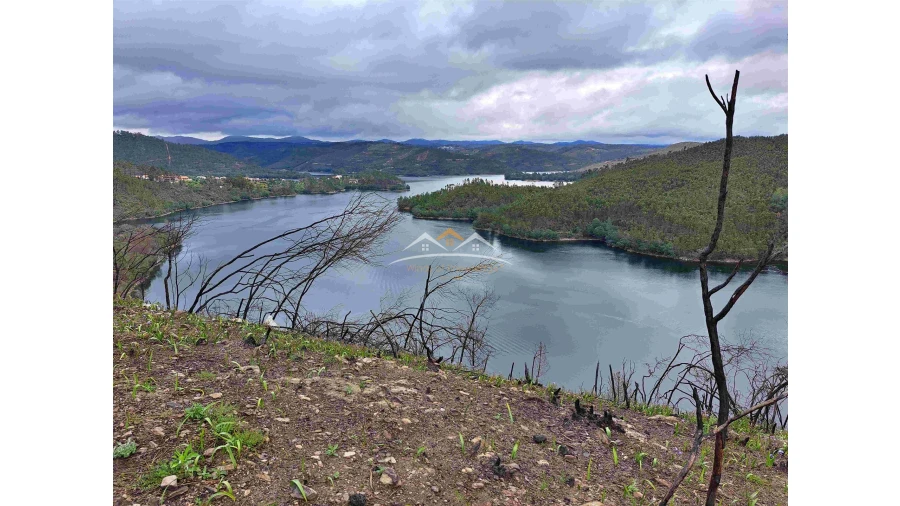 Terreno Agricola ou Rústico para Venda em Olalhas Foto 6