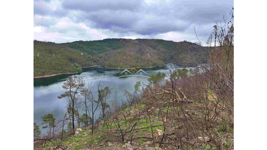 Terreno Agricola ou Rústico para Venda em Olalhas Foto 2