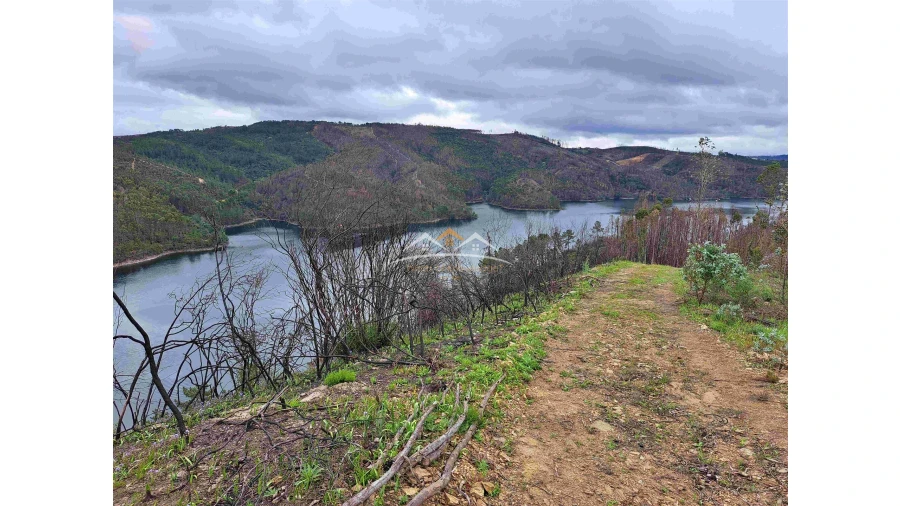 Terreno Agricola ou Rústico para Venda em Olalhas Foto 8