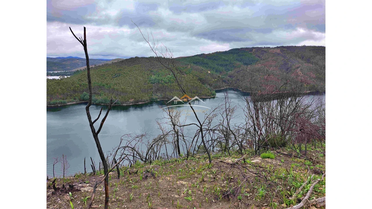 Terreno Agricola ou Rústico para Venda em Olalhas Foto 7