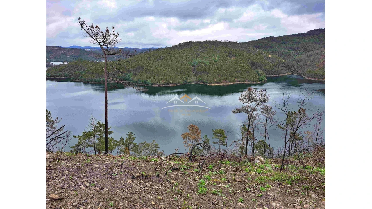Terreno Agricola ou Rústico para Venda em Olalhas Foto 1