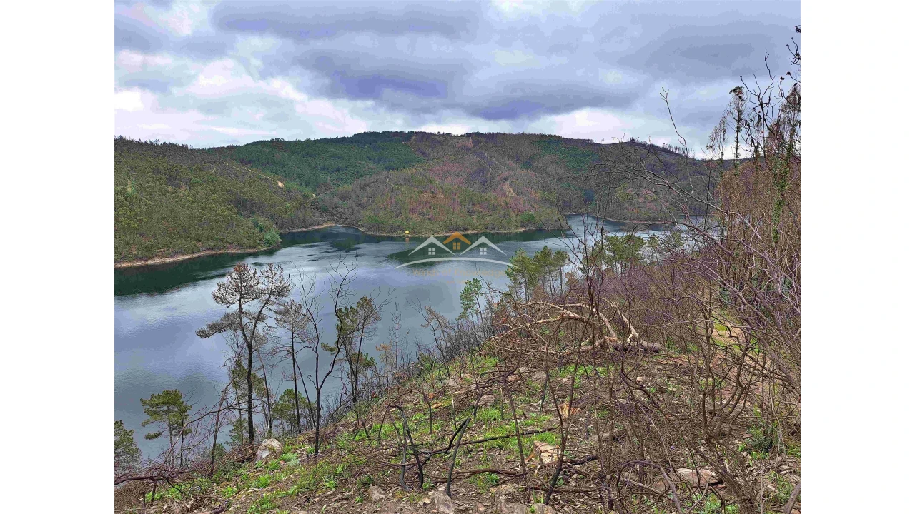 Terreno Agricola ou Rústico para Venda em Olalhas Foto 2