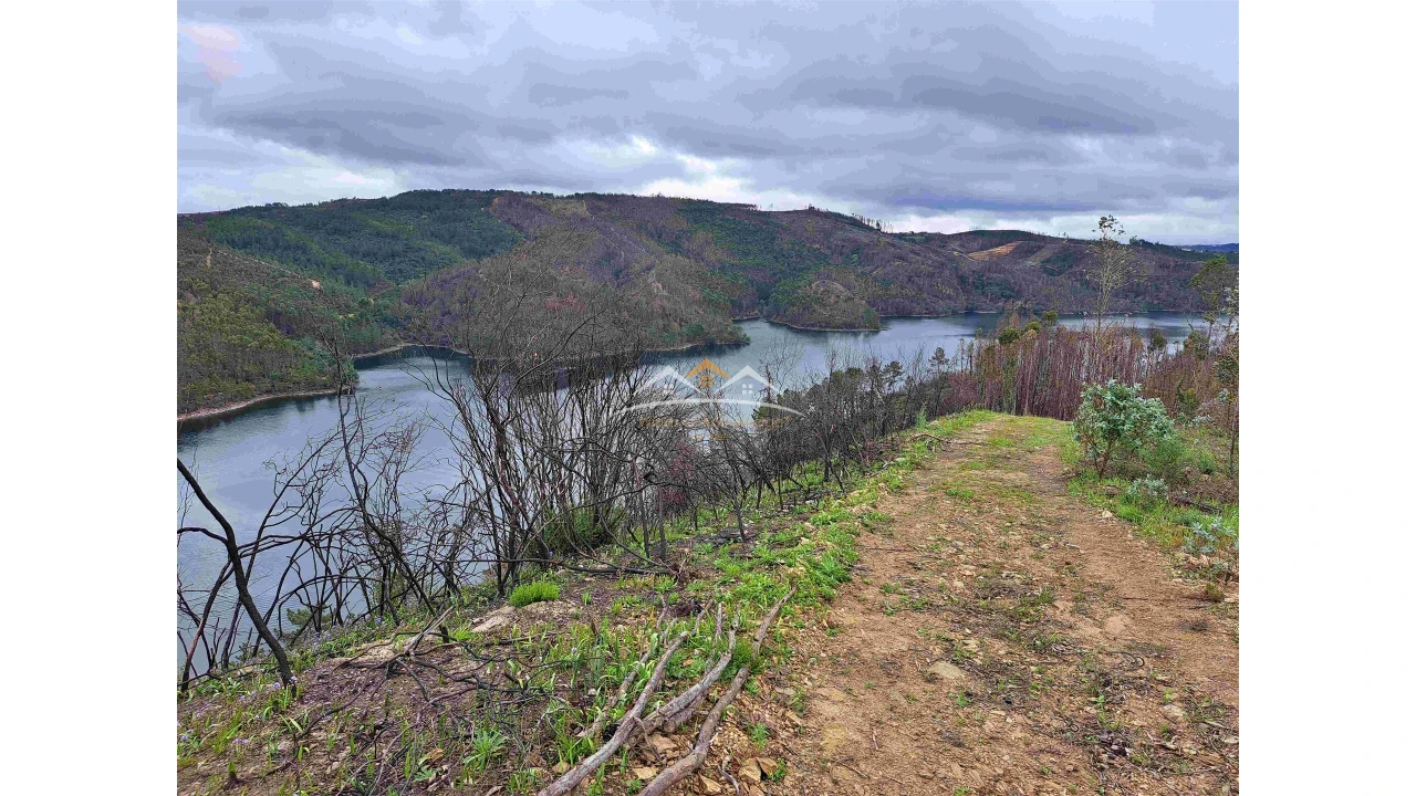 Terreno Agricola ou Rústico para Venda em Olalhas Foto 8