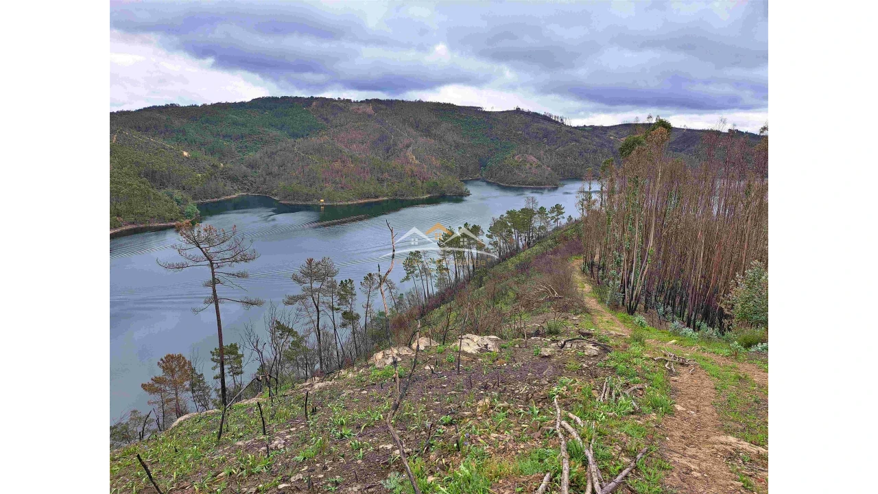 Terreno Agricola ou Rústico para Venda em Olalhas Foto 5