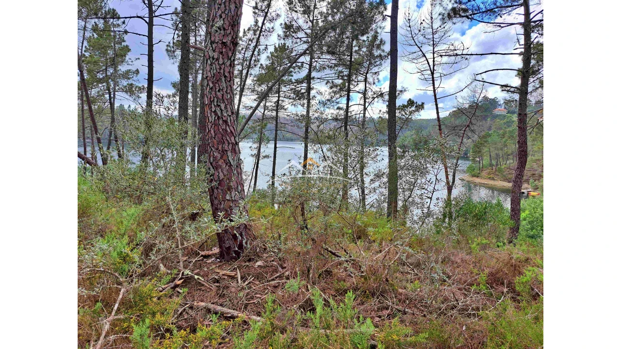 Terreno Agricola ou Rústico para Venda em Olalhas Foto 5