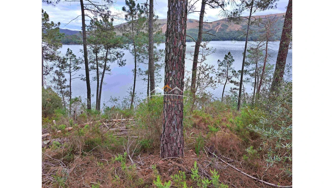 Terreno Agricola ou Rústico para Venda em Olalhas Foto 1