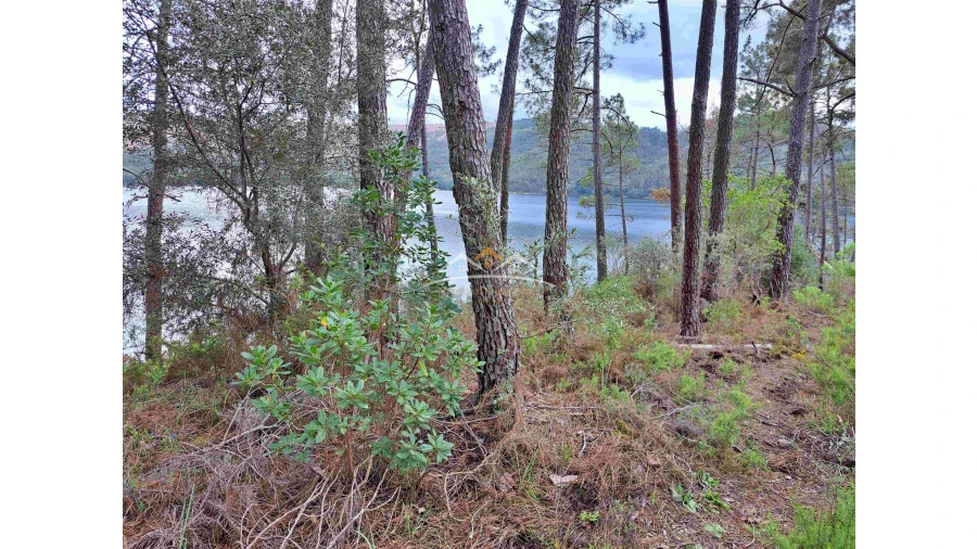 Terreno Agricola ou Rústico para Venda em Olalhas Foto 3