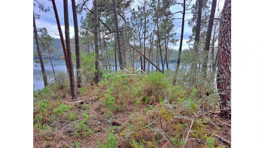 Terreno Agricola ou Rústico para Venda em Olalhas Foto 4