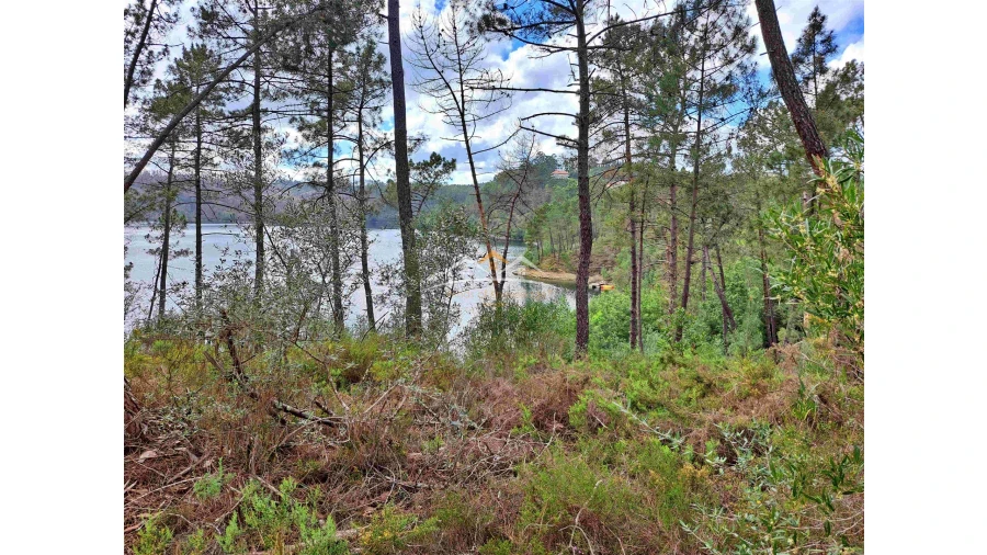 Terreno Agricola ou Rústico para Venda em Olalhas Foto 6