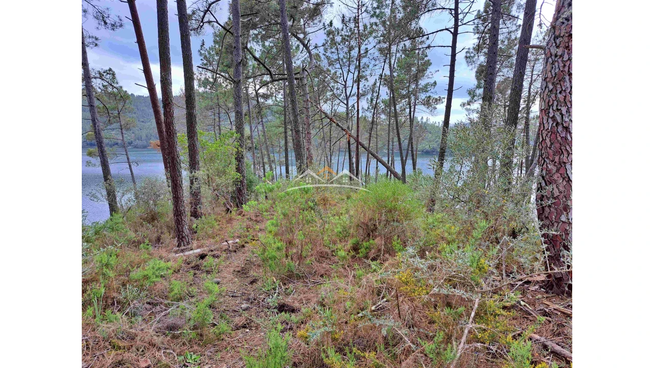 Terreno Agricola ou Rústico para Venda em Olalhas Foto 4