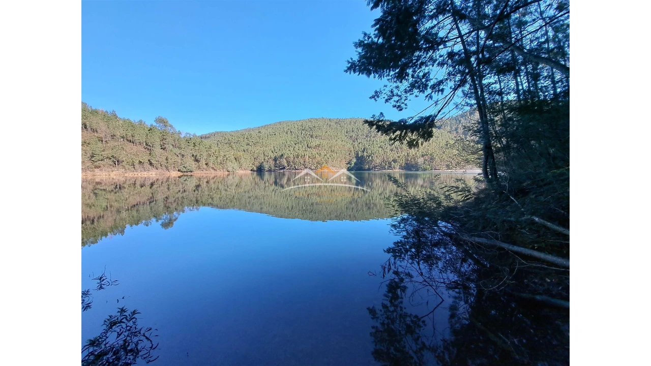 Terreno Agricola ou Rústico para Venda em Ferreira do Zezere Foto 3