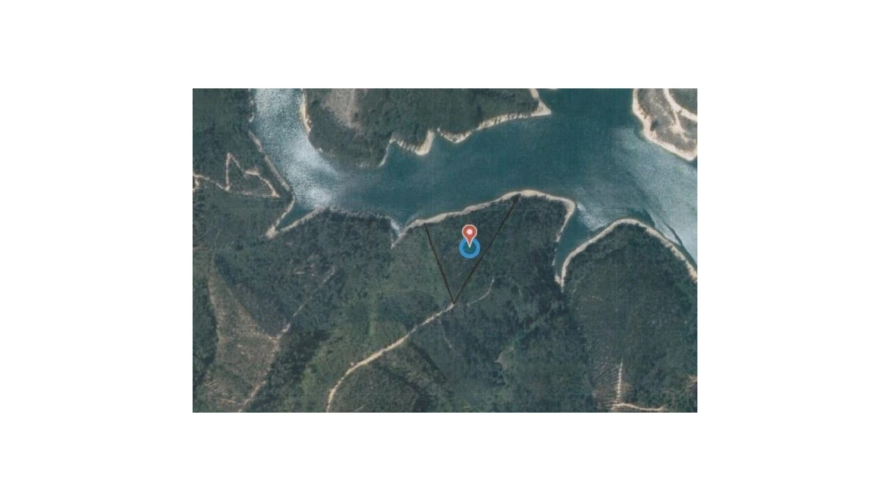 Terreno Agricola ou Rústico para Venda em Ferreira do Zezere Foto 4