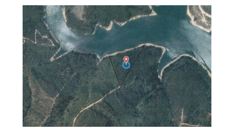 Terreno Agricola ou Rústico para Venda em Ferreira do Zezere Foto 4