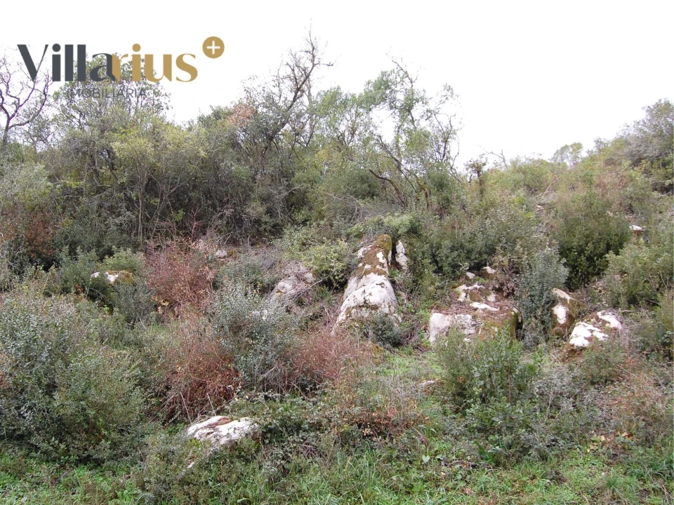 Terreno Agricola ou Rústico para Venda em Sabacheira Foto 5