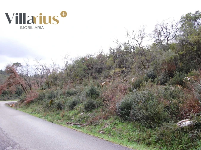 Terreno Agricola ou Rústico para Venda em Sabacheira Foto 6