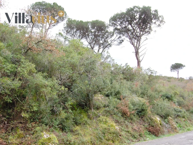 Terreno Agricola ou Rústico para Venda em Sabacheira Foto 3