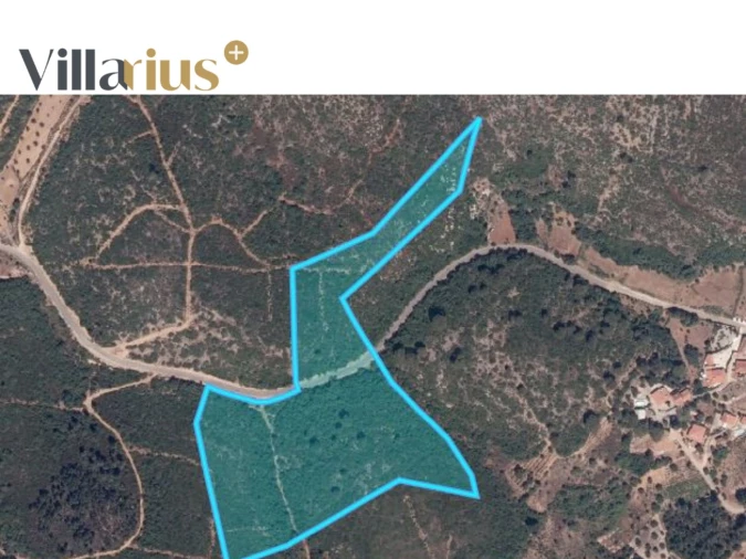 Terreno Agricola ou Rústico para Venda em Sabacheira Foto 7