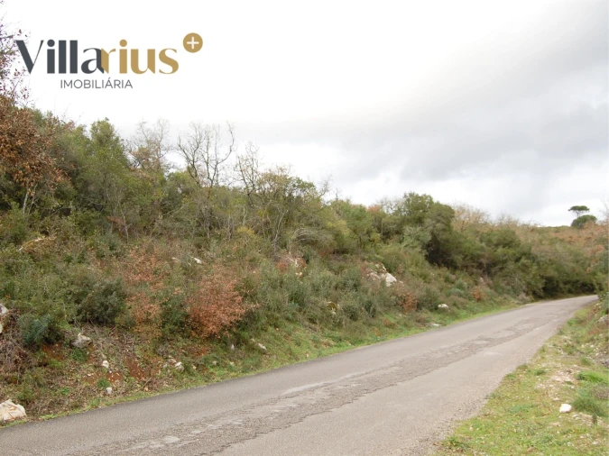 Terreno Agricola ou Rústico para Venda em Sabacheira Foto 2