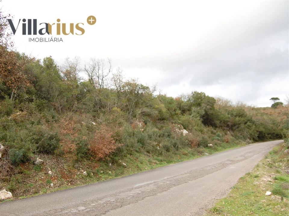 Terreno Agricola ou Rústico para Venda em Sabacheira Foto 2