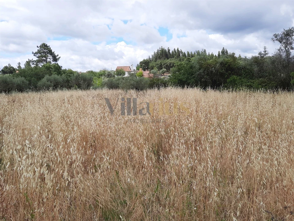 Moradia T0 para Venda em Areias e Pias Foto 19