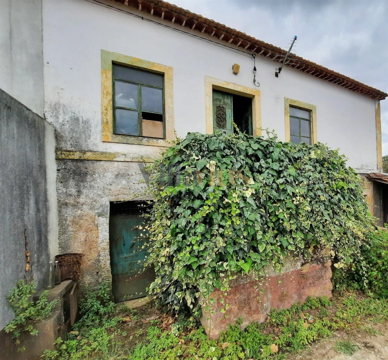 Moradia T0 para Venda em Areias e Pias Foto 1