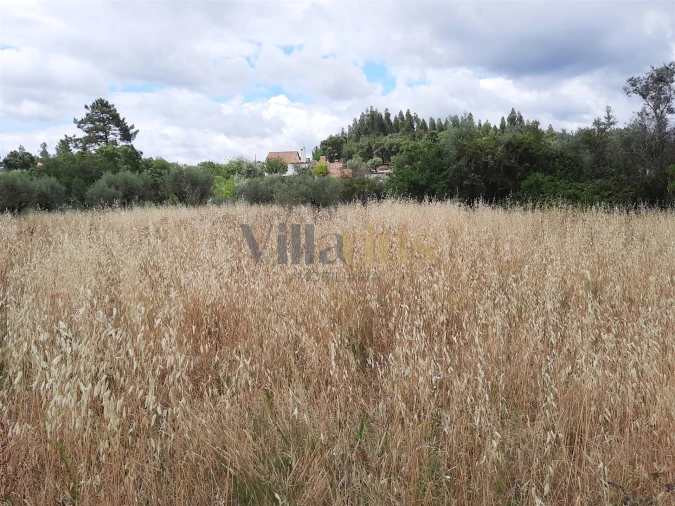 Moradia T0 para Venda em Areias e Pias Foto 19