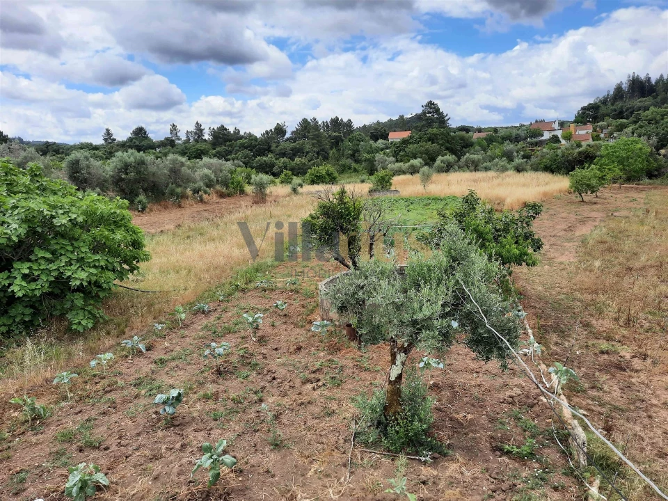 Moradia T0 para Venda em Areias e Pias Foto 22
