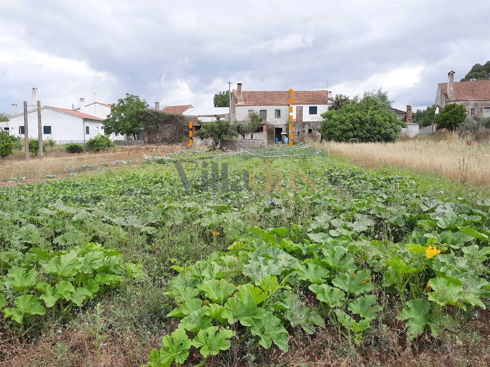 Moradia T0 para Venda em Areias e Pias Foto 18