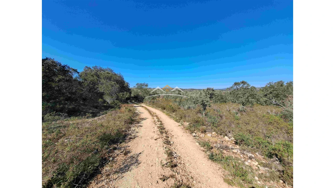 Terreno Agricola ou Rústico para Venda em Chãos Foto 1