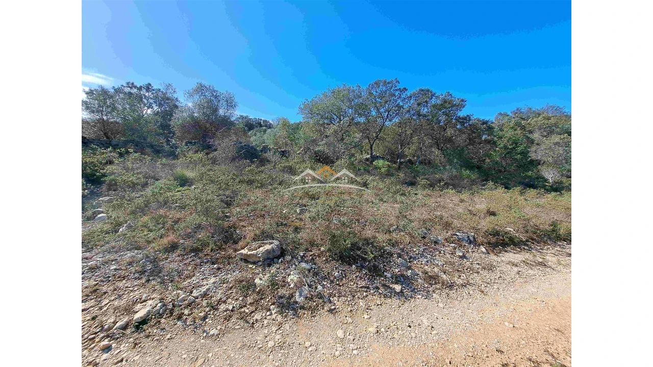 Terreno Agricola ou Rústico para Venda em Chãos Foto 5