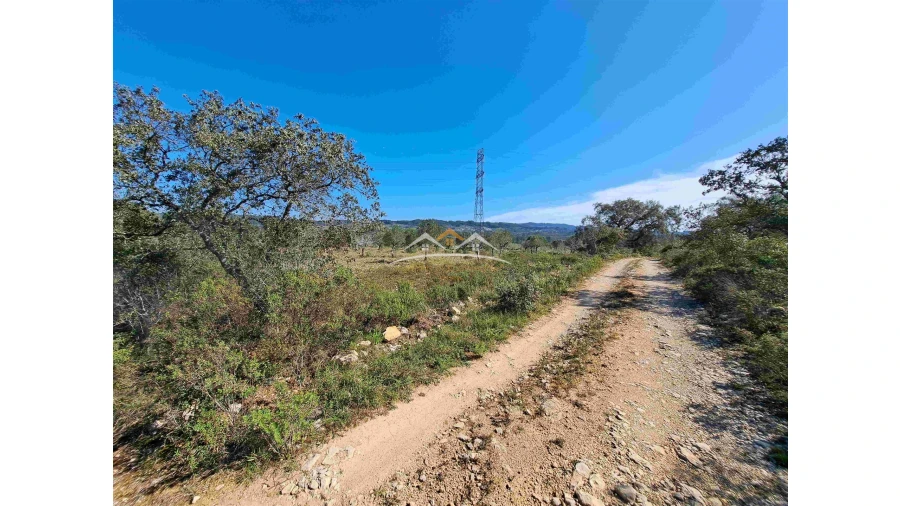 Terreno Agricola ou Rústico para Venda em Chãos Foto 4