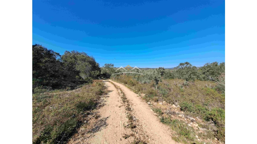 Terreno Agricola ou Rústico para Venda em Chãos