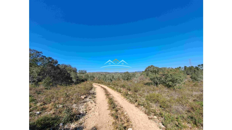 Terreno Agricola ou Rústico para Venda em Chãos Foto 6