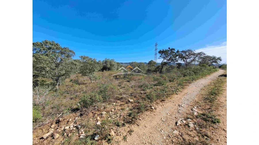 Terreno Agricola ou Rústico para Venda em Chãos Foto 3