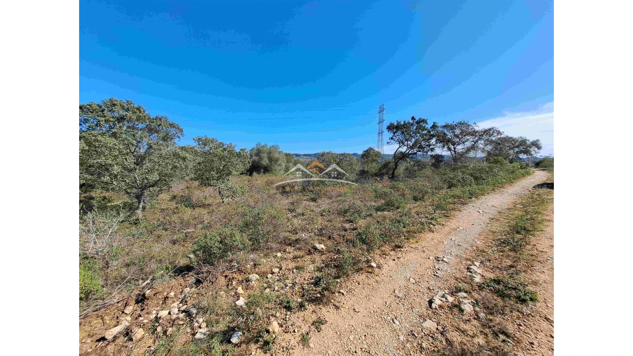 Terreno Agricola ou Rústico para Venda em Chãos Foto 3