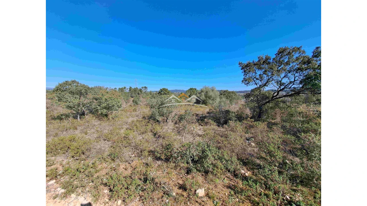 Terreno Agricola ou Rústico para Venda em Chãos Foto 2
